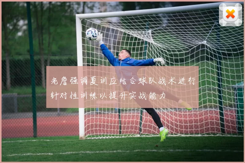 老詹强调夏训应结合球队战术进行针对性训练以提升实战能力