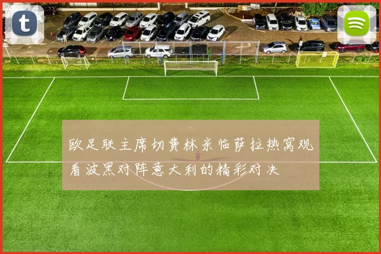 欧足联主席切费林亲临萨拉热窝观看波黑对阵意大利的精彩对决